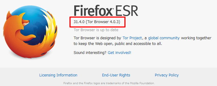 tor open browser hudra